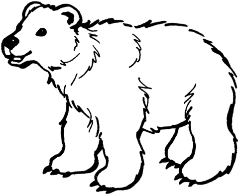 Brown Bear Coloring Page